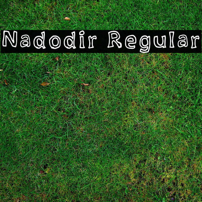 Nadodir Regular Example 3