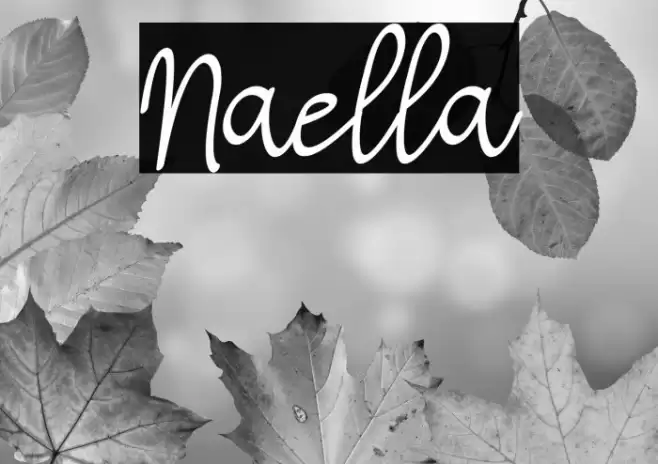 Naella Font examples