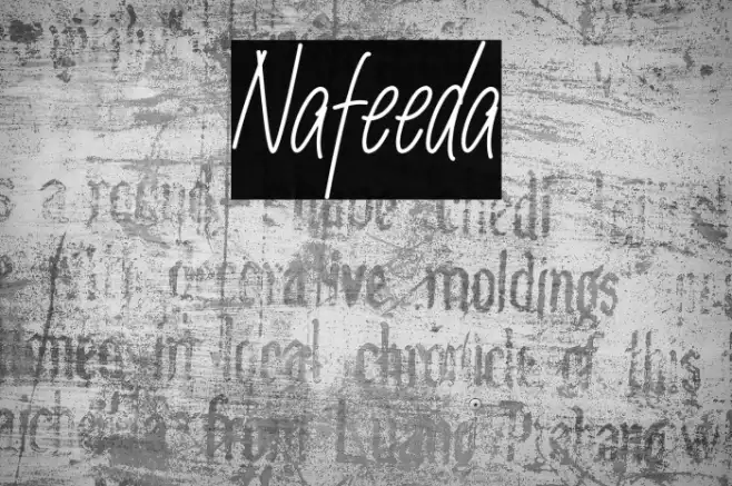 Nafeeda Example 2