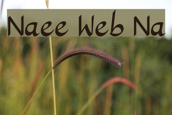Nafees Web Naskh Polices examples
