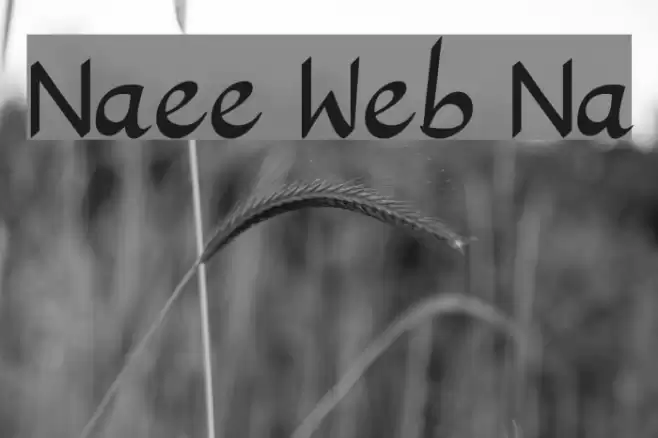 Nafees Web Naskh Polices examples
