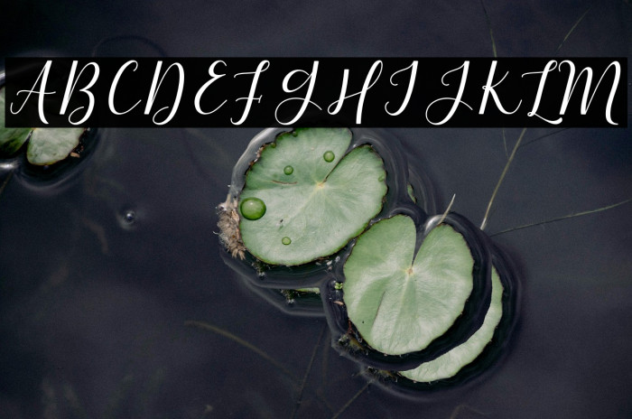 NafigatScript Example 1