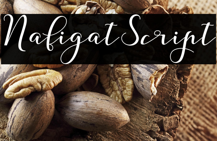 NafigatScript Example 1