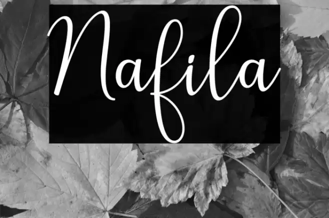 Nafila Font examples