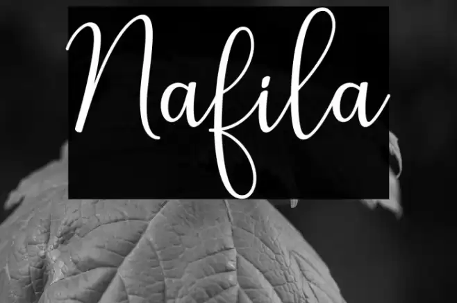Nafila Font examples