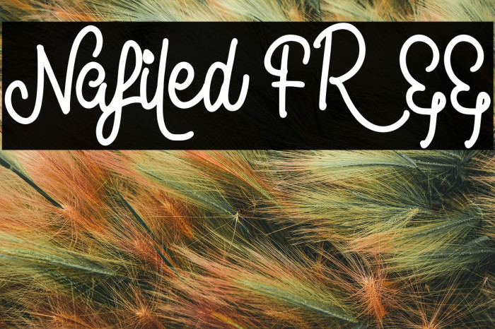 Nafiled FREE Example 1