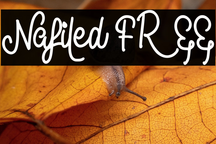 Nafiled FREE Example 3