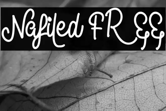 Nafiled FREE Example 3
