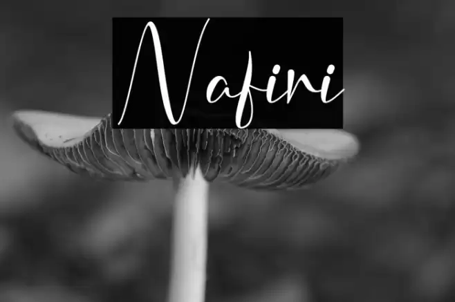 Nafiri Font examples