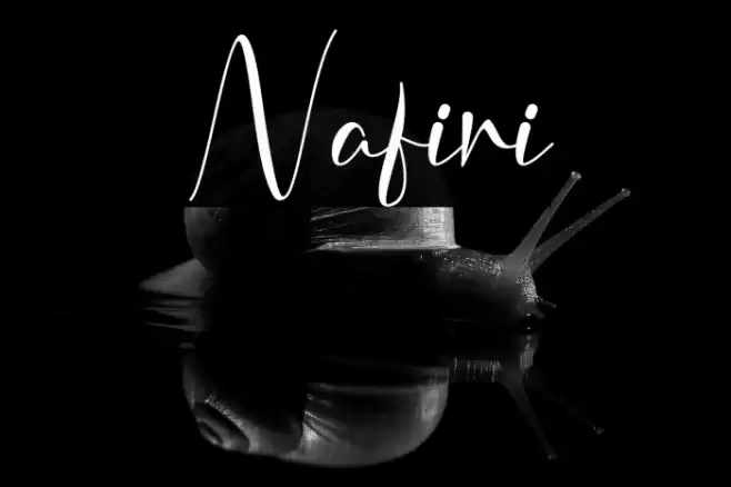 Nafiri Font examples