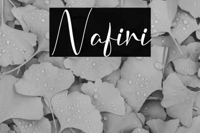 Nafiri Font examples