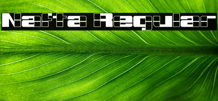 Nafta Regular Example 3