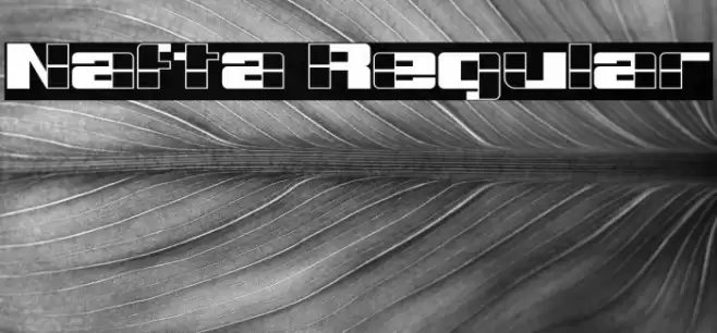 Nafta Regular フォント examples