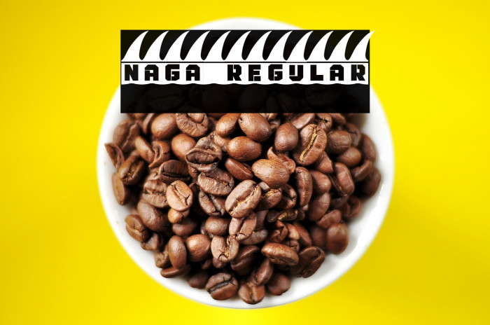 Naga Regular Example 1