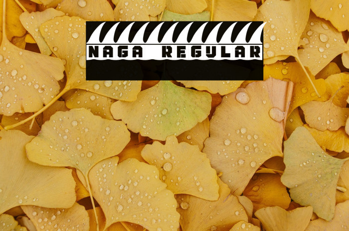 Naga Regular Example 2