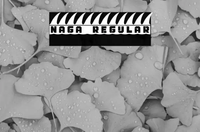 Naga Regular Font examples