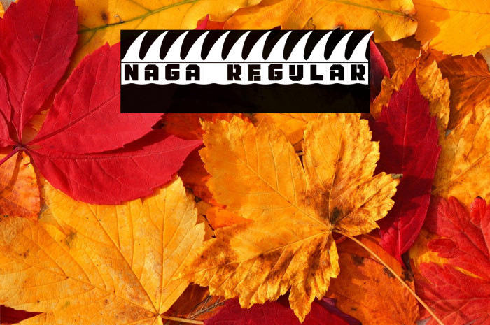 Naga Regular Example 3