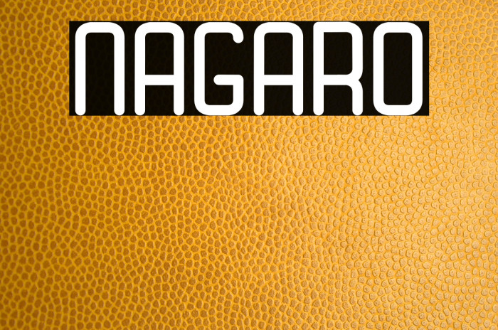 Nagaro Font examples