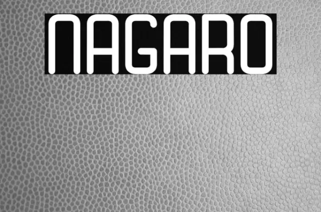 Nagaro Example 1