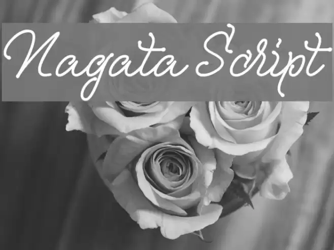 Nagata Script Font examples
