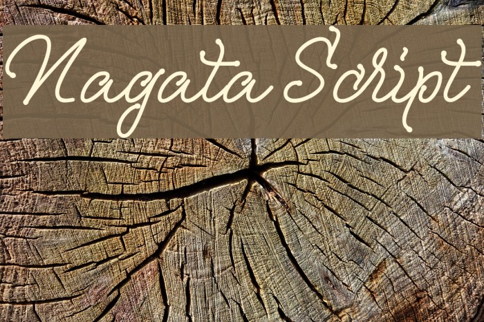 Nagata Script Font examples