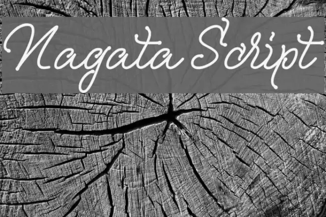 Nagata Script Font examples