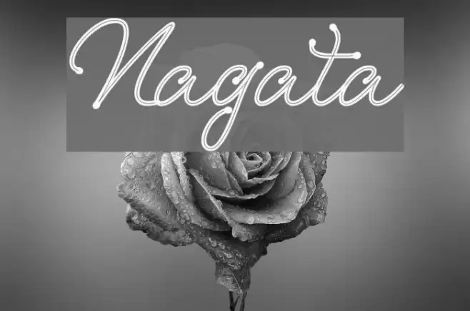 Nagata 字体 examples