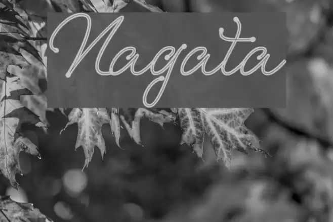 Nagata 字体 examples