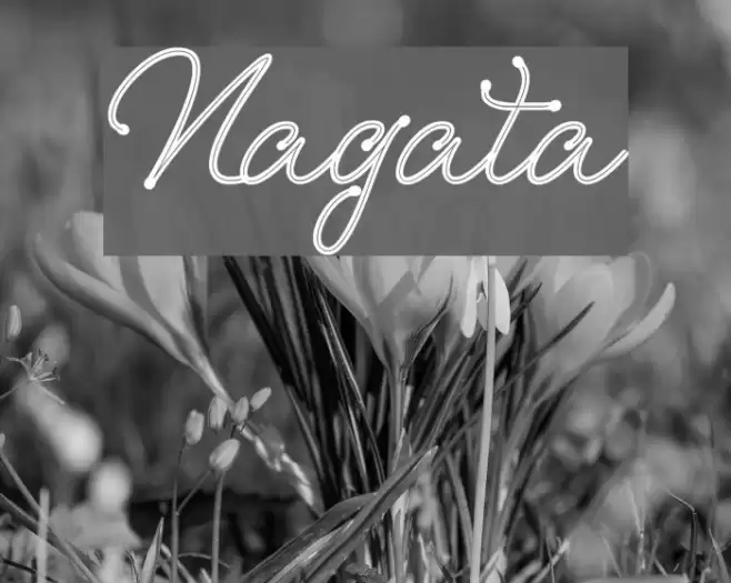 Nagata 字体 examples