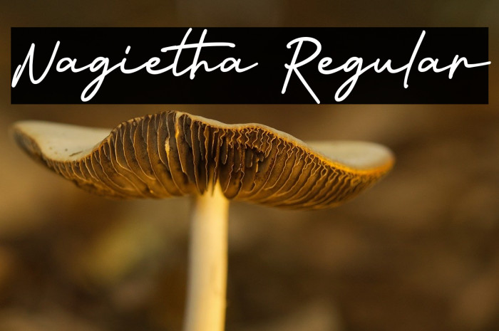 Nagietha Regular Example 2