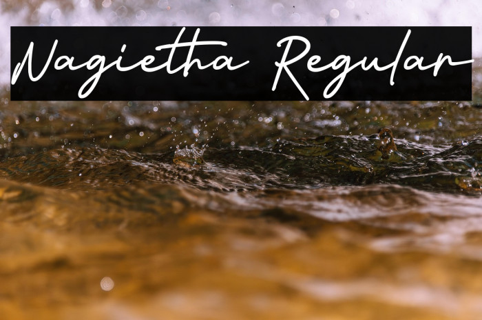 Nagietha Regular Example 3