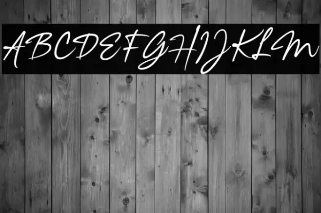 NaginthaDemo خط examples