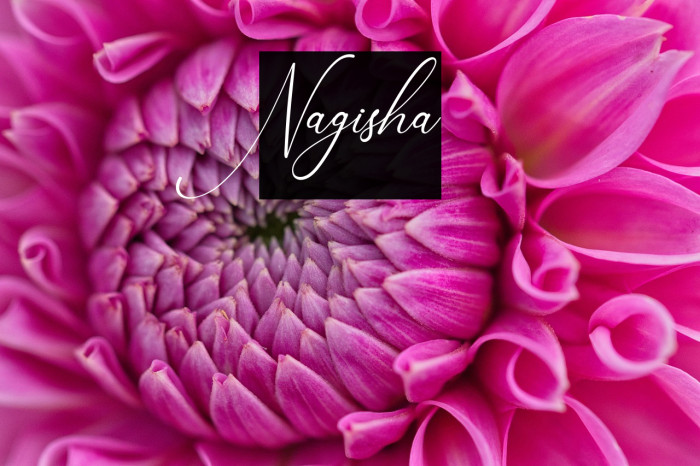 Nagisha Example 2
