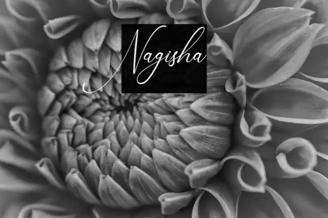 Nagisha Font examples