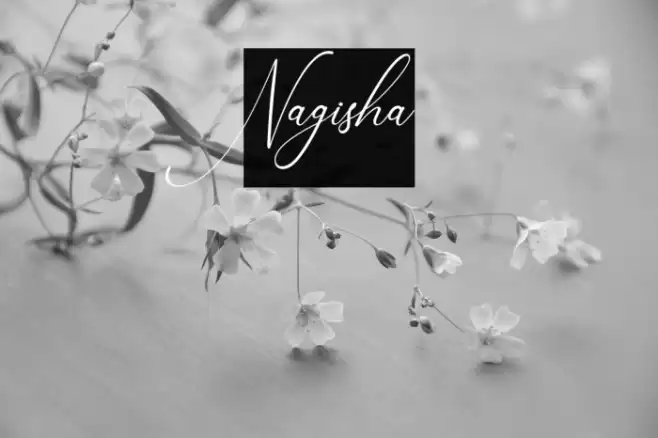 Nagisha Font examples