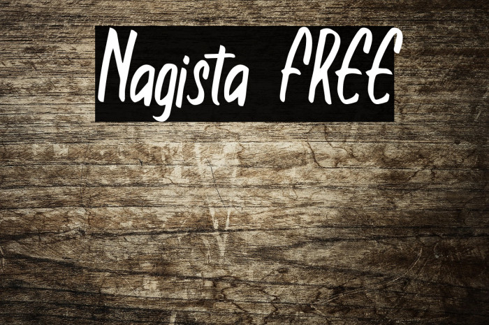 Nagista FREE Example 1