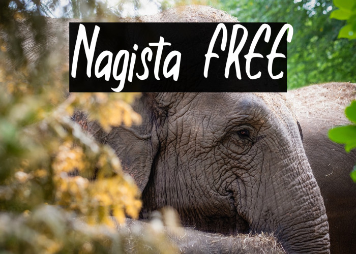 Nagista FREE Example 2