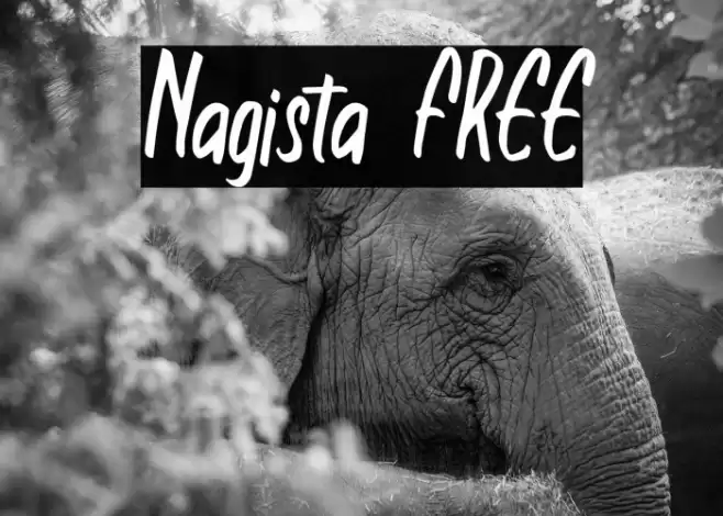 Nagista FREE फ़ॉन्ट examples