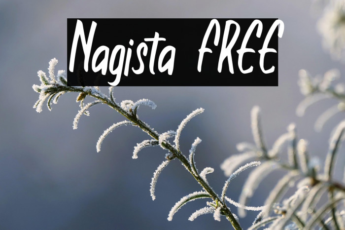 Nagista FREE Example 3