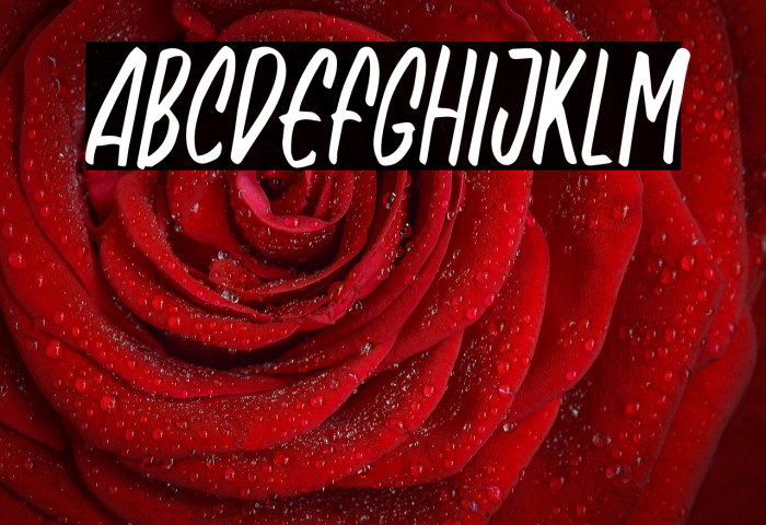 NagistaFREE Example 1