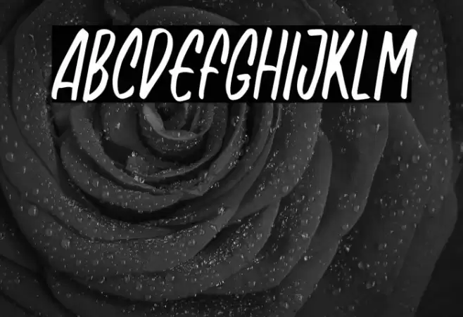 NagistaFREE 字体 examples