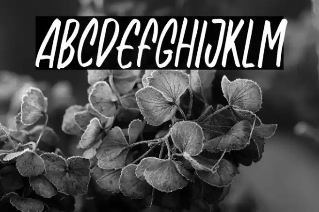 NagistaFREE 字体 examples