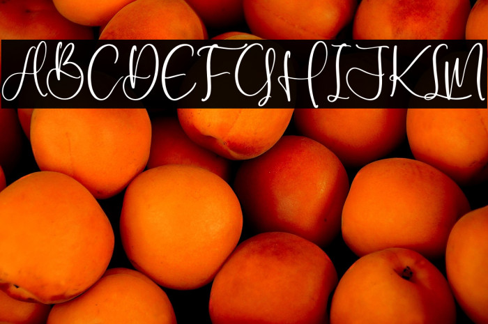 Nagitha Sweety Example 1