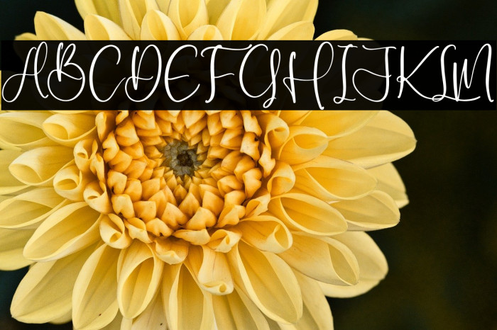 Nagitha Sweety Example 2