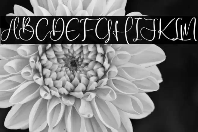 Nagitha Sweety Font examples