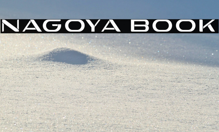 Nagoya Book Example 1