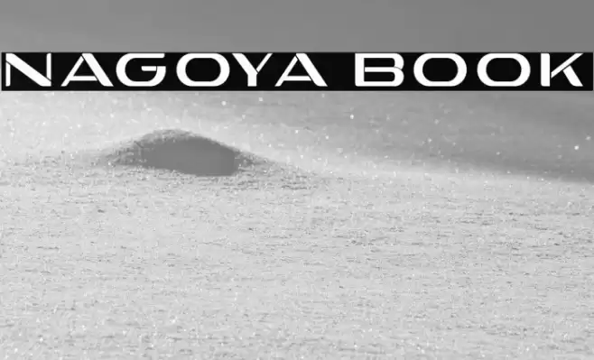 Nagoya Book Font examples