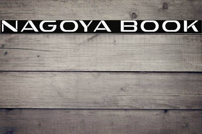 Nagoya Book Example 2