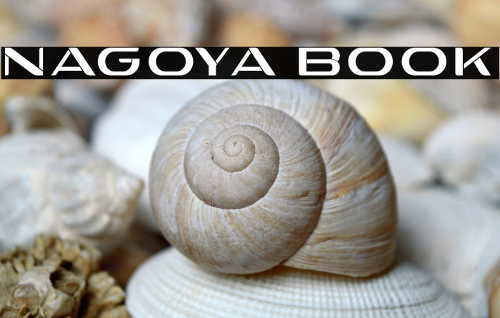 Nagoya Book Example 3