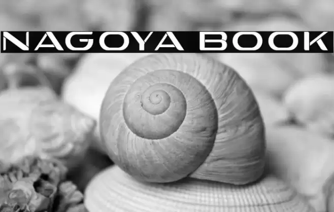 Nagoya Book Font examples